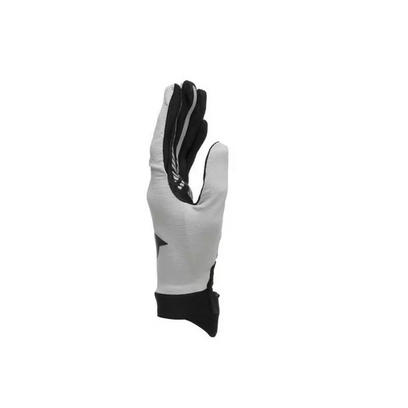 DAINESE Guanti HGR Gloves EXT Grey