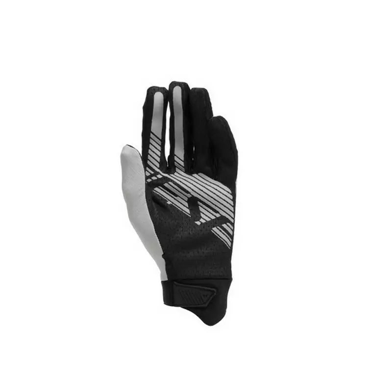 DAINESE Guanti HGR Gloves EXT Grey